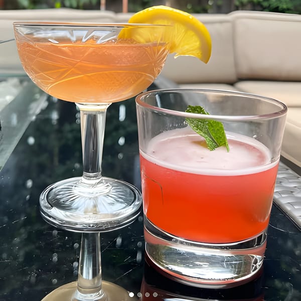 Two cocktails, one amber with a lemon slice, one red with mint, on a dark reflective surface.